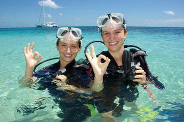 Michaelmas Cay Dive and Snorkel Cruise from Palm Cove