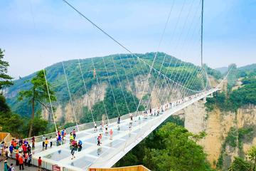 Private Day Trip to Grand Canyon of Zhangjiajie