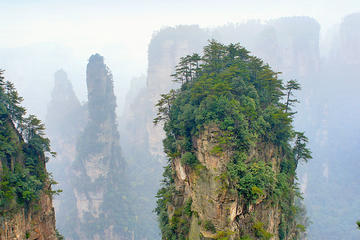 Private Day Trip to Zhangjiajie National Forest Park