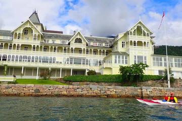 Guided kayak tour in Balestrand