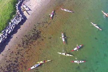 Guided kayak tour in Herdla