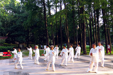 Forbidden City,Temple of Heaven, Tiananmen Square, Summer Palace one Day Tour