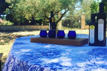 Soap and Olive Oil Experience