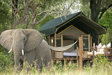 Couples 4-Day NON-SHARED Lux Private Safari Tour of Kruger Park from Johanesburg