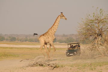 Family 3-Day NON-SHARED Private Kruger Safari Tour from Johannesburg