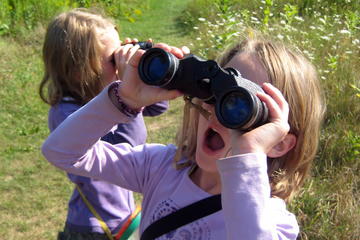 Private Bird-Watching Tour for Beginners from Cancun and Riviera Maya