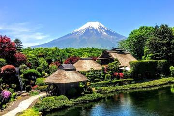 1-Day Mt Fuji Bus Tour with Fuji Airways 4-D and Ninja Experience