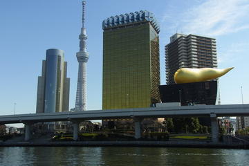 Half Day Sightseeing Tour in Tokyo