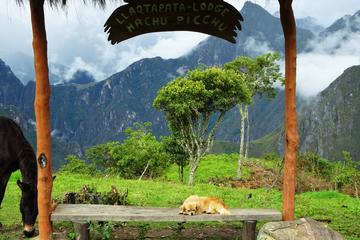 4-Day Inca Jungle Premium to Machu Picchu from Cusco