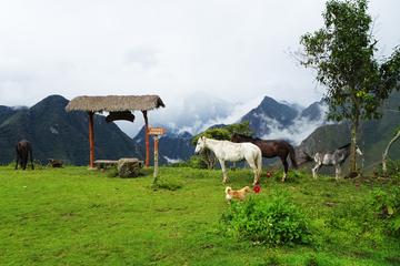 5-Day Salkantay Trail Trekking Tour from Cusco