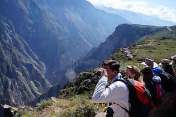 Full Day Arequipa Colca Cañon Tour