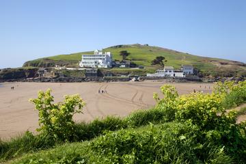 South Devon Coast and Country luxury private guided tour from Cornwall