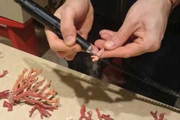 Coral and pearls of Dubrovnik