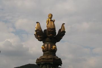 Private Day Tour to Wuxi Lingshan Grand Buddha and Taihu Lake