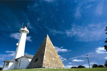 Full-Day Ultimate Port Elizabeth Tour