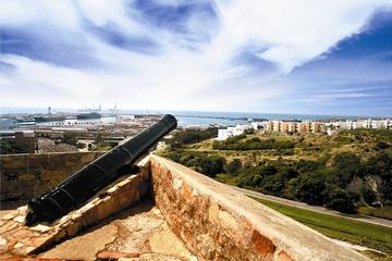 Port Elizabeth Shore Excursion: Port Elizabeth Walking Tour