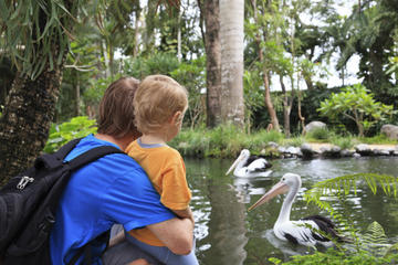 Attica Zoological Park with Optional Shopping Experience and Private Transport from Athens