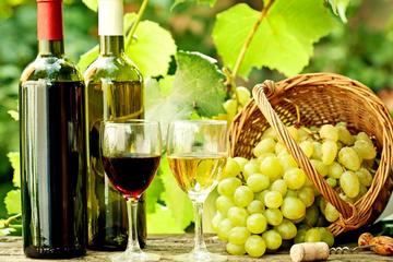 One-Day Wine Tour to Kakheti from Tbilisi