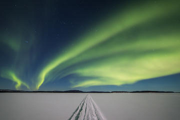 Aurora Hunting Safari to Lake Inari from Saariselkä