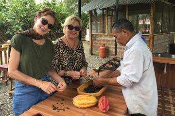 Cocoa Farm and Chocolate Tour