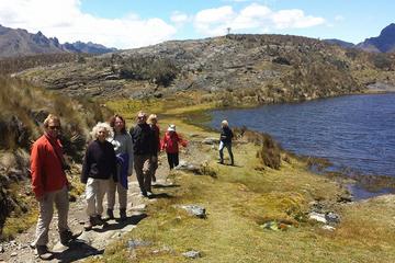Full-Day Tour to Cajas National Park with Small-Group