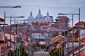 Private Half-Day City Tour Including Turi Viewpoint