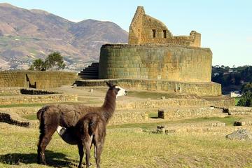 Private Tour to Ingapirca Ruins