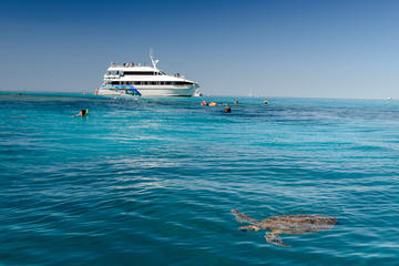 Lady Musgrave Day Trip from Bundaberg Including Snorkeling, Glass Bottom Tour and Guided Island Walk