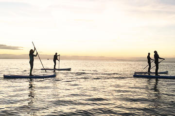 Stand Up Paddle Boarding Taster Session in Saundersfoot