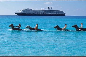 2-Hour Horse Back Ride And Swim from Montego Bay