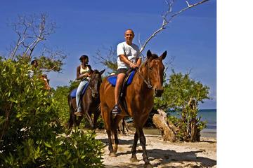Negril  - Horse Back Ride And Swim
