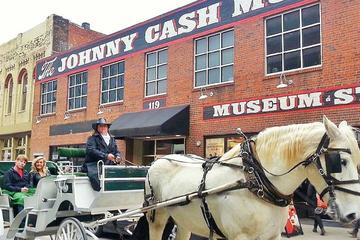 Day Trip Private 45-Minute Downtown Nashville Horse and Carriage Ride near Nashville, Tennessee 