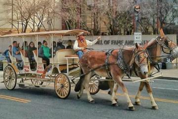 Private Tour: BYOB Horse Carriage Pub Crawl