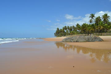 Beach Hopping Day Trip to Praia do Forte