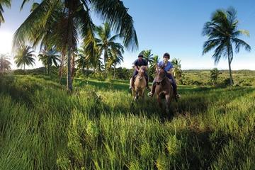 Horseback riding with polo lesson and brazilian wine tasting in Praia do Forte Poloclub