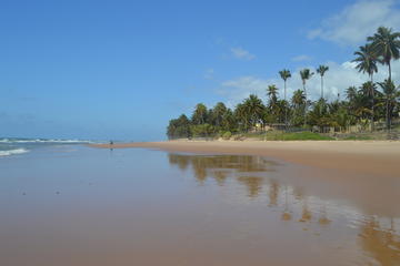 Jaua Beach Hike Tour from Abrantes