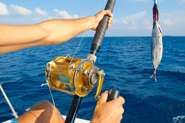 Private Deep Sea Fishing Tour from Abrantes