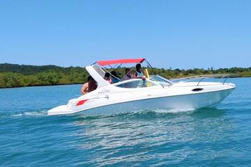 Speed Boat Luncha privat All Saints Bay day excursion