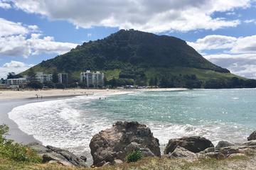 Mt Maunganui Day Trip from Auckland