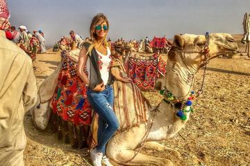 Giza pyramids and one hour camel ride