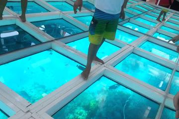 Glass Bottom Boat Trip in Sharm el Sheikh