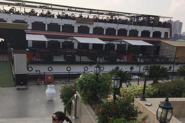 private day tour 2 hour dinner cruise on Nile river with belly dancer