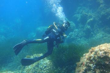 Beginner's Dive in Palma de Mallorca