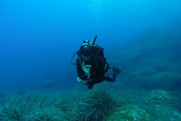 Boat-trip and diving baptism in Alcudia - Majorca
