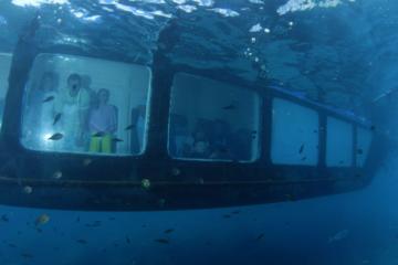 Boat Trip to Majorca paradise