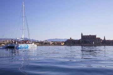 Catamaran Sailing day with Lunch from Palma