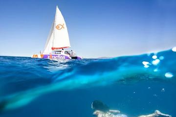 Catamaran Sailing in Palma Bay with Transfers and Paella