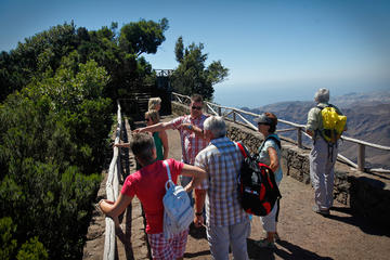 Day Trip to La Laguna from Puerto de la Cruz