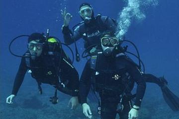 Diving in Puerto de La Cruz - 6 immersions