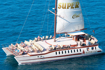 Dolphin and whales watching aboard the Supercat